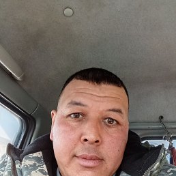 , 34, 