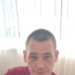 , 41, 