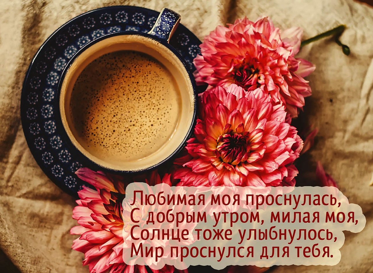   ,    . - 22  2025  07:23