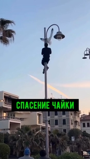 ����� ��� ��������! ������ ������� �����, ���������� �� ������, � �� ������ ���� � ��������� ���� ...