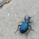 ���� �������, �������������, 65 ��� - ��������� 23 ������ 2025 � ������ ���� ����������