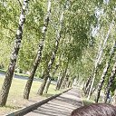 ���� ����, ��������, 25 ��� - ��������� 5 ������� 2024 � ������ ���� ����������