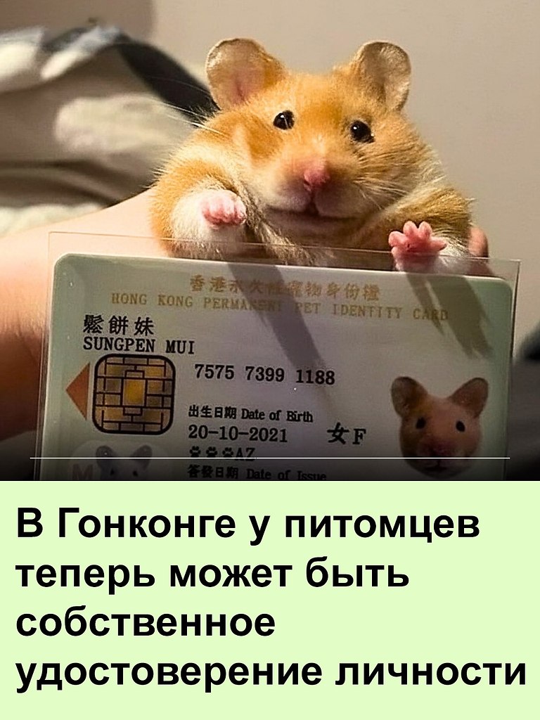 Теперь и хвостики полноправные граждане