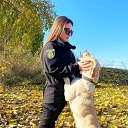  Moonlight,  -  12  2025    