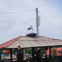 ���� ����, �����������, 24 ���� - ��������� 2 ������� 2024 � ������ ���� ����������