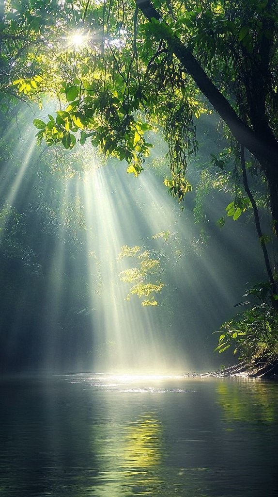 , , ,     ,     ,    ...