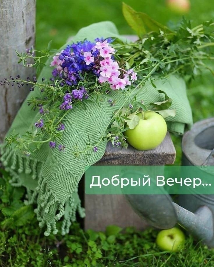   ,    . - 28  2025  16:32