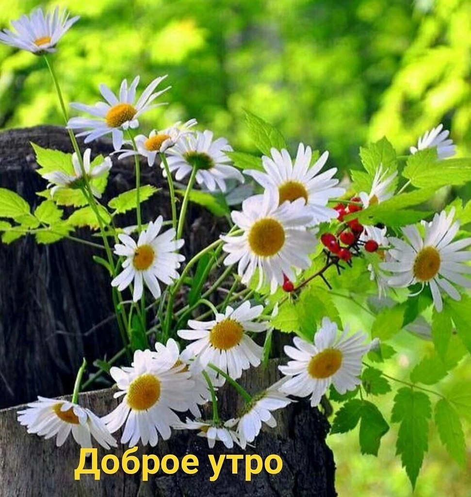   ,    . - 25  2025  06:40