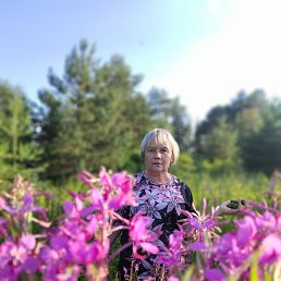 , 65, 