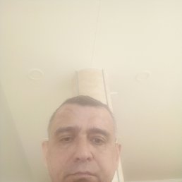 , 49, 