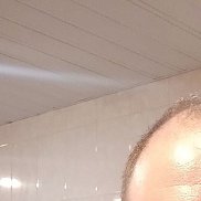 ���������, 41 ���, ����