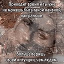  , -, 65  -  24  2024    