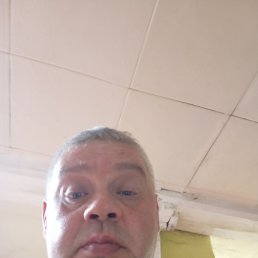 , 41, 