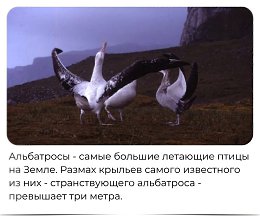 ПРИКОСНОВЕНИЕ ДУШИ