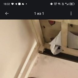 ���� �����, �������, 36 ��� - ��������� 26 ������� 2025