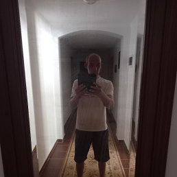 , 41, 