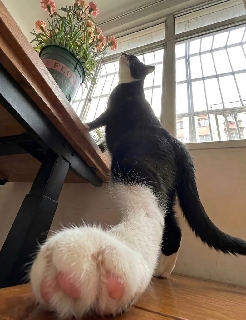 ��� ������� ��� - ����������� - 2