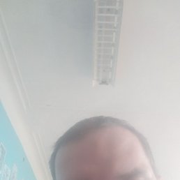 ����, �����������, 38 ���