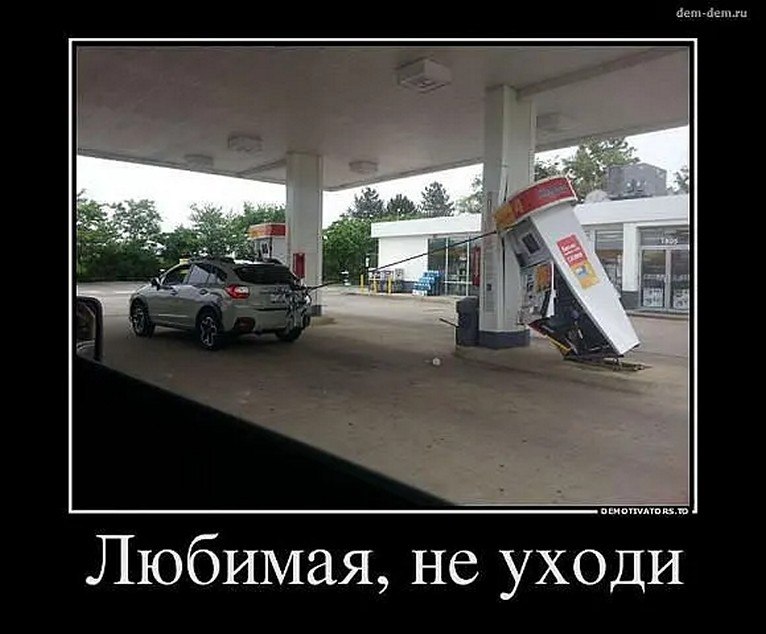 �� ����� - ������������� ������ �1 - 8 ������� 2025 � 16:50