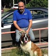 �����, 61 ���, ���������