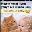 ���� �������, ����-������ - ��������� 7 ������ 2026 � ������ ���� ����������