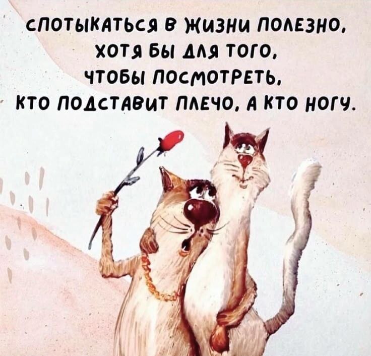   - 13  2025  16:44
