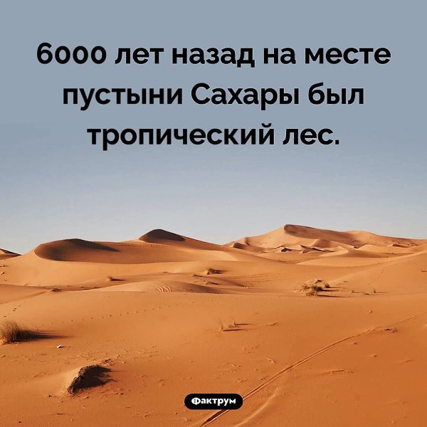 :)  ,  9000-6000          ...