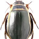  , -, 51  -  13  2024    