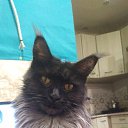 ���� ������, �����������, 57 ��� - ��������� 21 ������ 2025 � ������ ������ ��������