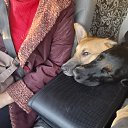 ���� �����, �����, 67 ��� - ��������� 19 ������� 2025 � ������ ���� ����������