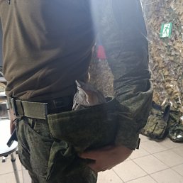 ���� ��������, ������, 35 ��� - ��������� 27 ���� 2026
