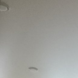 �������, ����, 73 ����