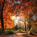���� ��������, �����������, 33 ���� - ��������� 7 �������� 2026 � ������ ������ ��������