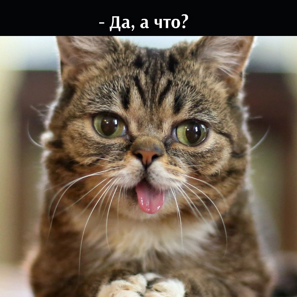       - 10  2025  16:19 - 2