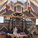  , --, 51  -  1  2023