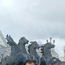 ���� ����, �����������, 37 ��� - ��������� 3 ���� 2025 � ������ ���� ����������