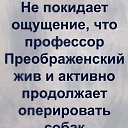  , --, 63  -  31  2024    