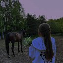 ���� ����, ������, 25 ��� - ��������� 13 ������ 2024