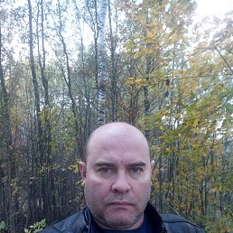 ���� Vi, �����-���������, 53 ���� - ��������� 3 ������ 2024