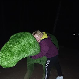 , 53, 