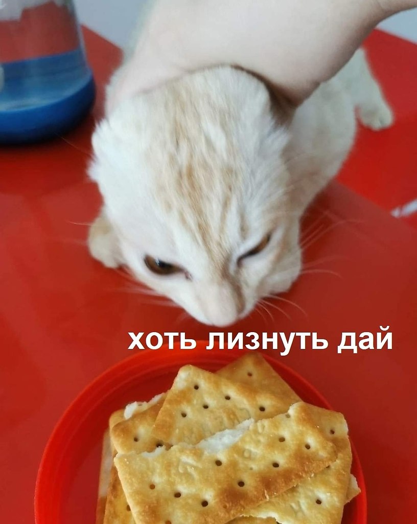 ���� - 8 �������� 2025 � 18:22 - 3