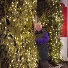 �����, ������