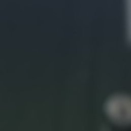 ������., ������, 37 ���