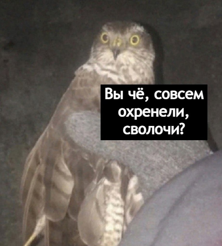 Ох уж этот взгляд - 3