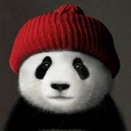 ������, ��������, 18 ���