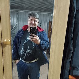 , 49 , 