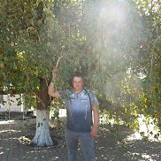 �����, 37 ���, ��������