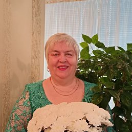 ���� �������, ������, 66 ��� - ��������� 20 ����� 2026