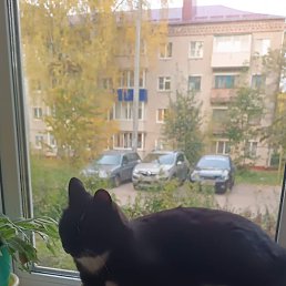 ���, ������, 36 ���