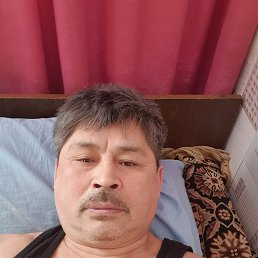 , 55, 